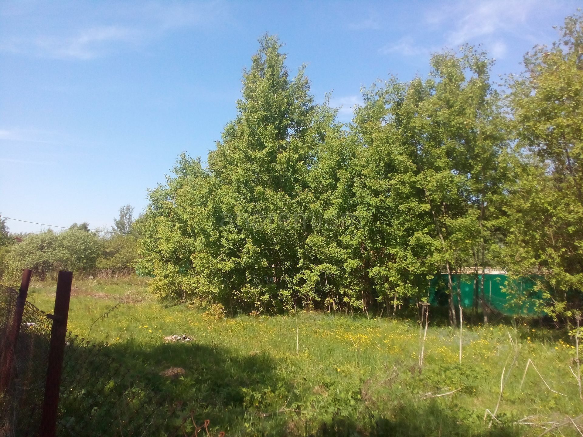 Участок 10 соток в д. Кишкино Ступинского района